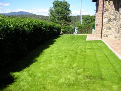 Finca de 1600 m2 con piscina en recinto vallado, barbacoa, zona de césped, aparcamiento....