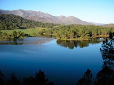 Un entorno único.... junto al río Alberche y 1 km de la Reserva Natural del Valle de Iruelas