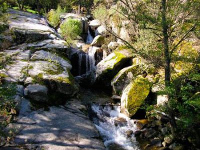 Un entorno único.... junto al río Alberche y 1 km de la Reserva Natural del Valle de Iruelas