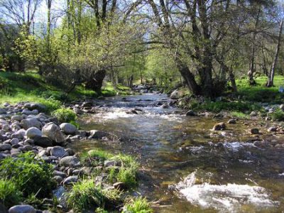 Un entorno único.... junto al río Alberche y 1 km de la Reserva Natural del Valle de Iruelas